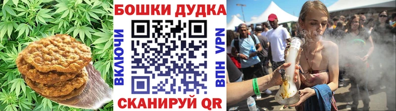 купить   Тимашёвск  Canna-Cookies конопля 