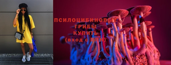 mdpv Няндома