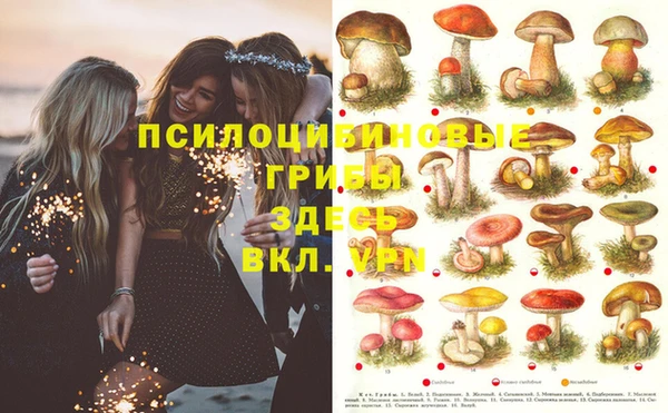 a pvp Осинники