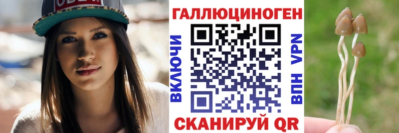 Галлюциногенные грибы Psilocybine cubensis Тимашёвск