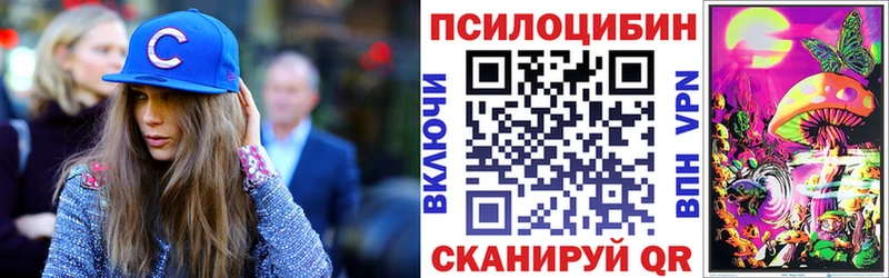 Галлюциногенные грибы Psilocybine cubensis  Тимашёвск 